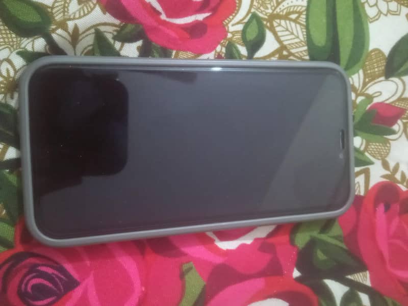 Apple iPhone X 1