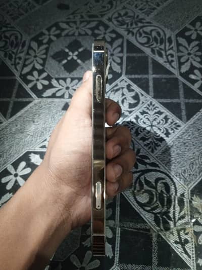 Apple iPhone 11 JV Convert 12pro
