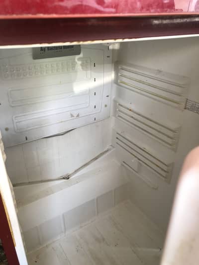 Pel frige for sale