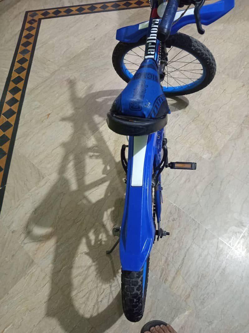 bicycle 1