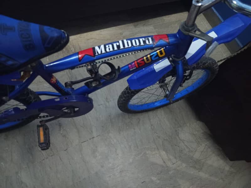 bicycle 2