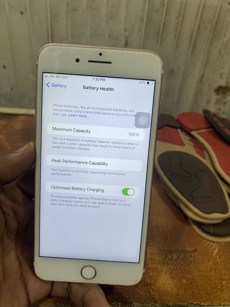 Apple iPhone 7 Plus 1