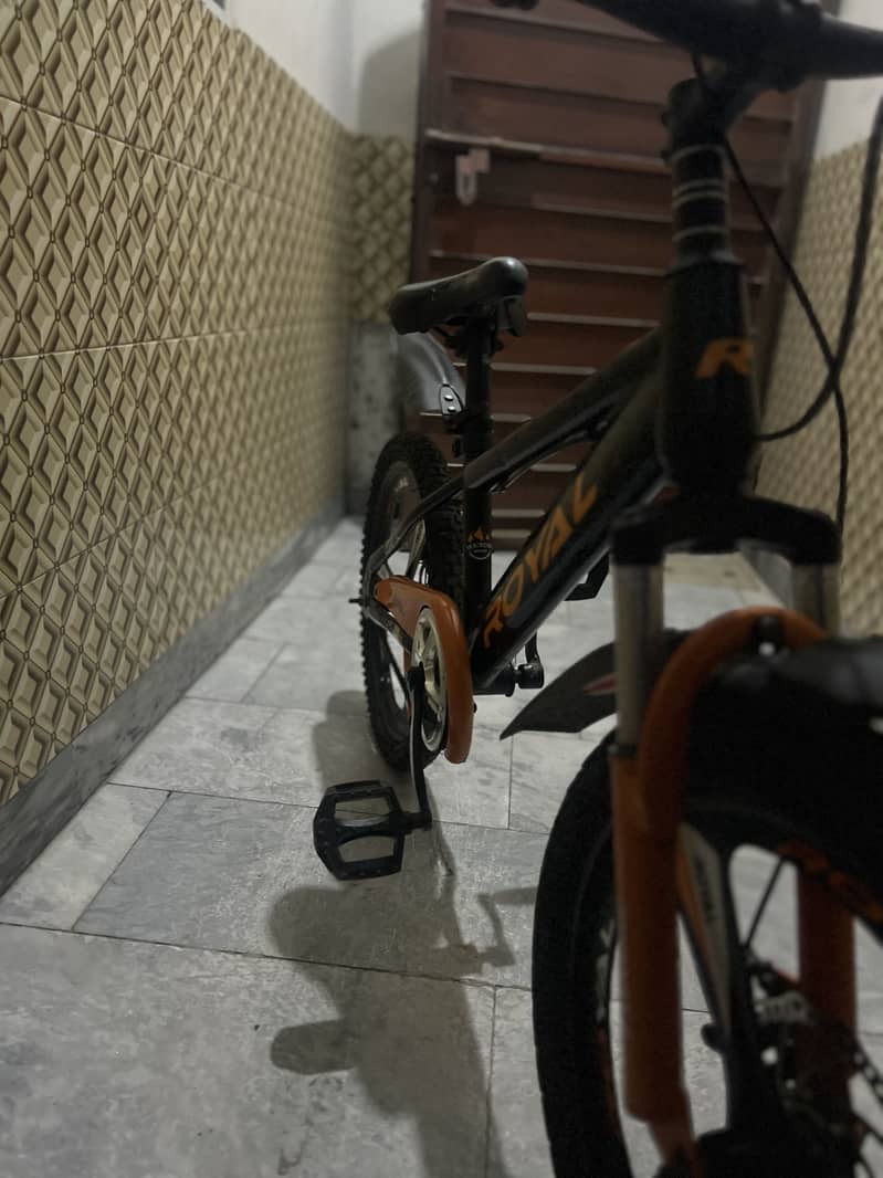 Royal cycle 3