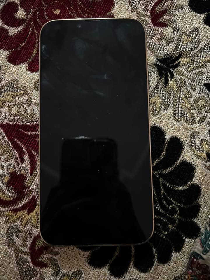 Apple iPhone 13 Pro Max 1