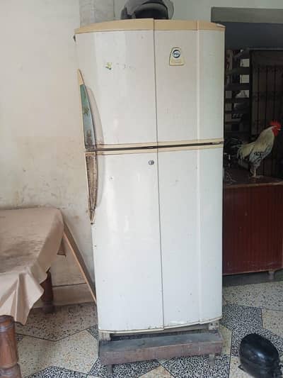 Fridge