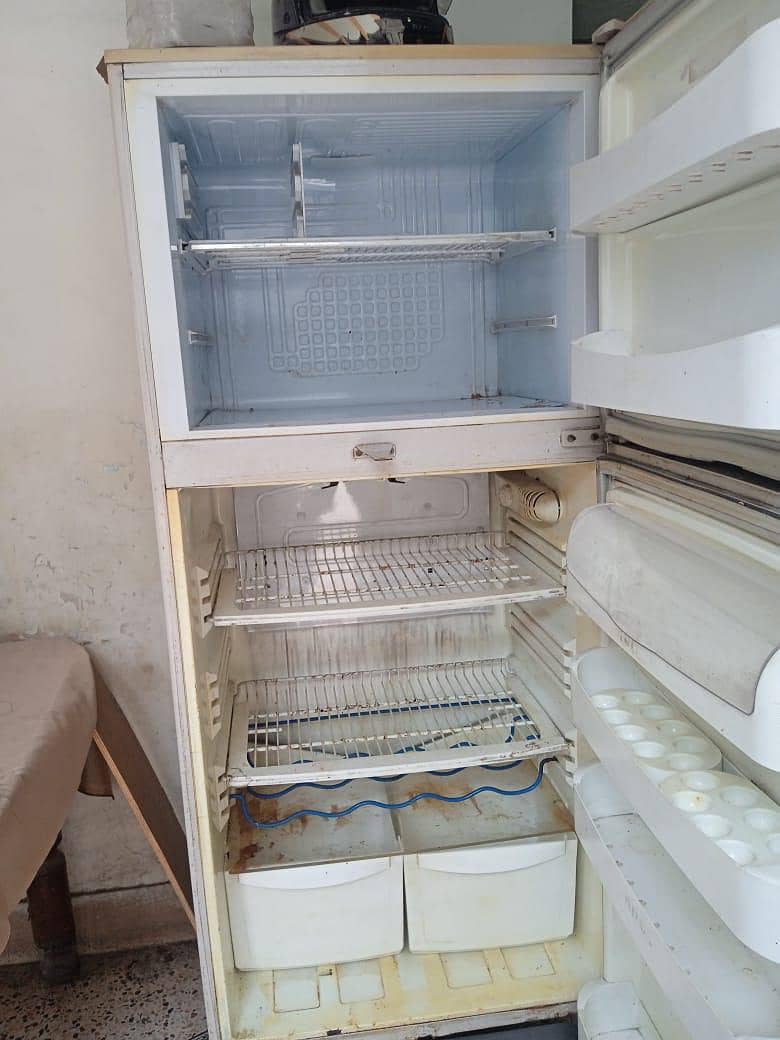 Fridge 1
