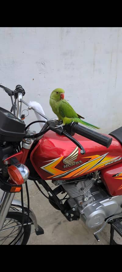 Honda CG 125 2021