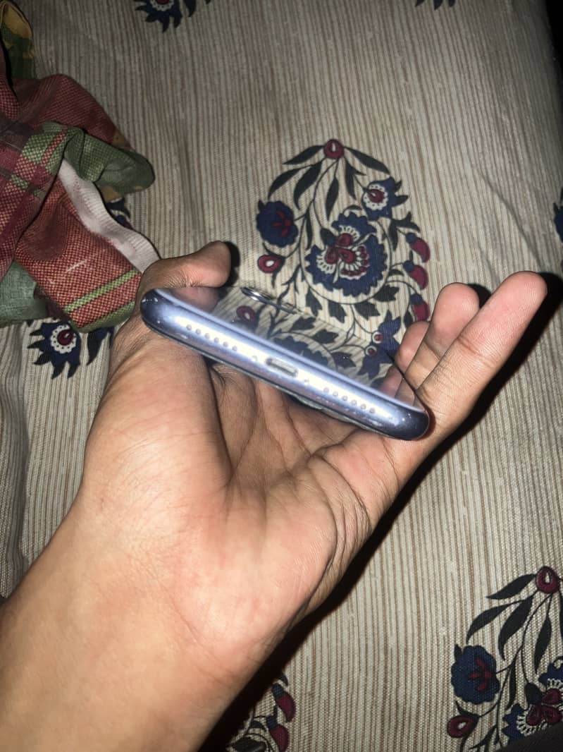 Apple iPhone 11 3