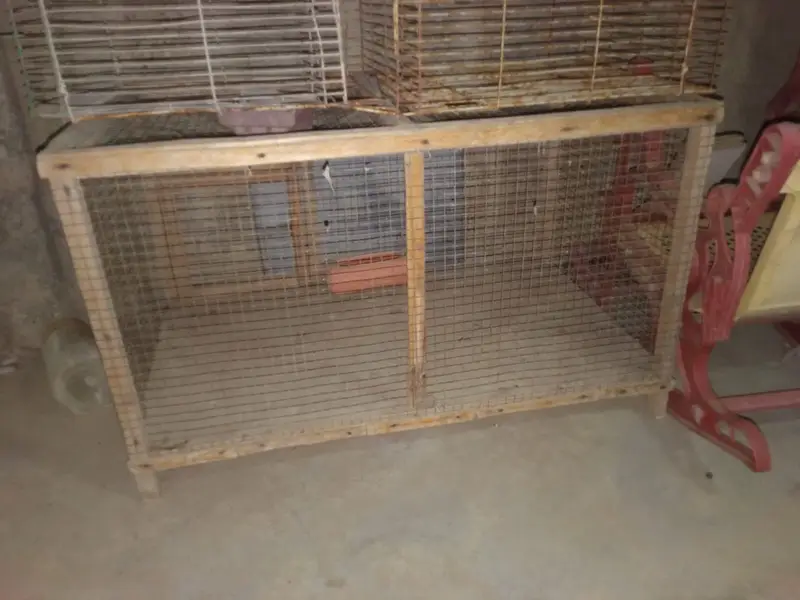 3 cages no demage just buy and clean & use — photo 2