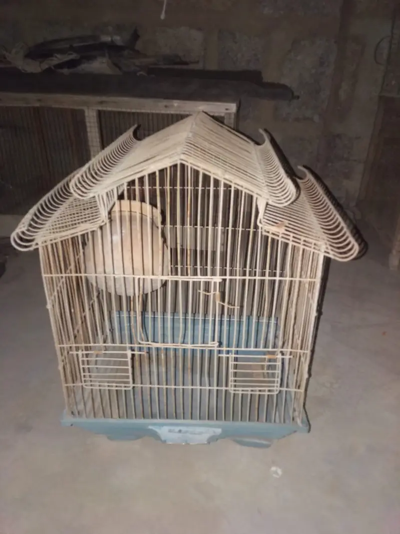 3 cages no demage just buy and clean & use — photo 3