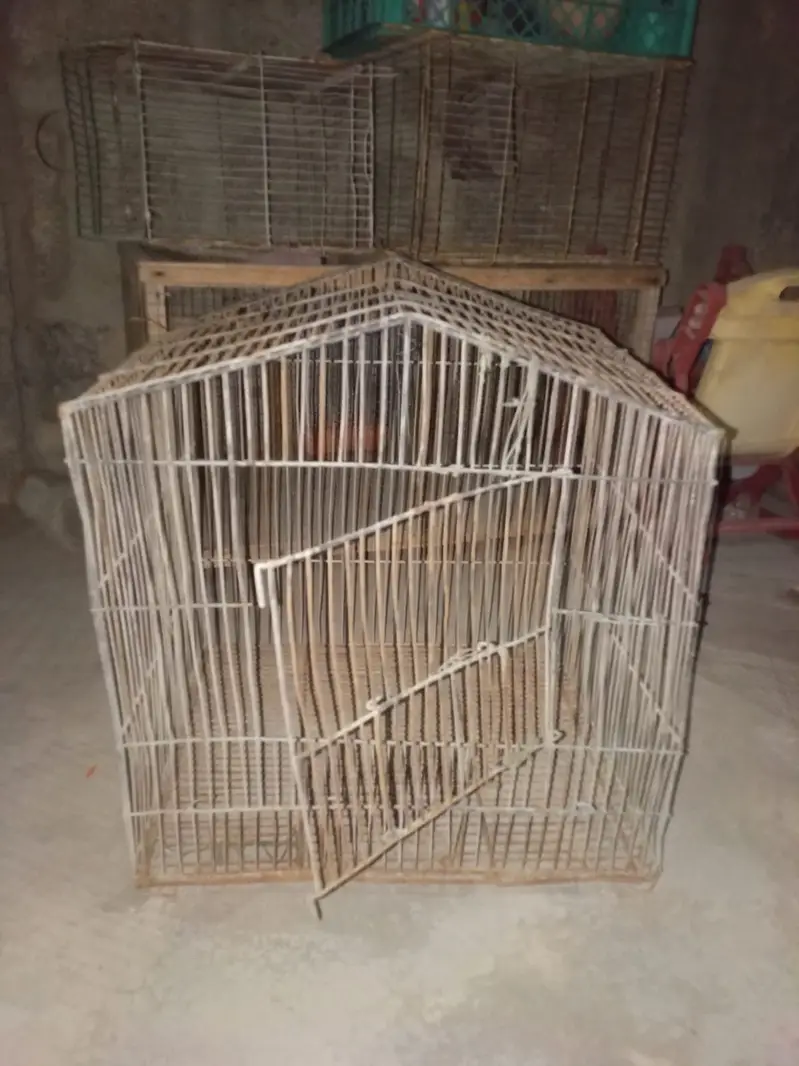 3 cages no demage just buy and clean & use — photo 4