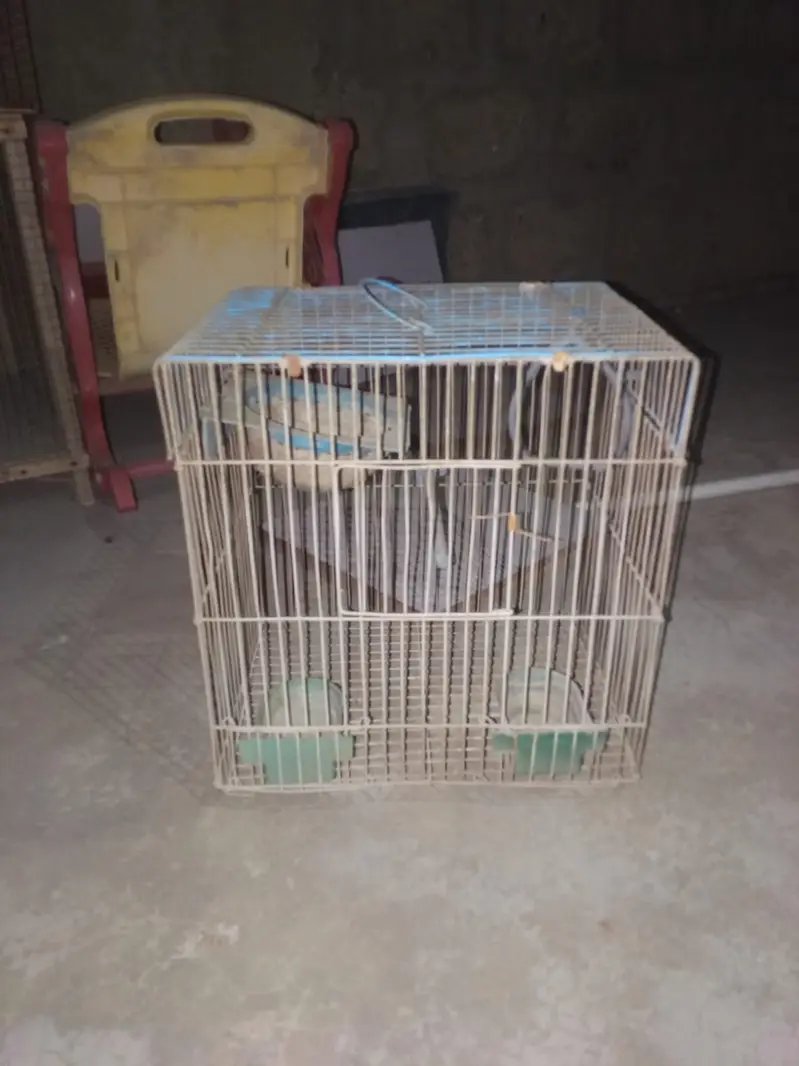3 cages no demage just buy and clean & use — photo 5
