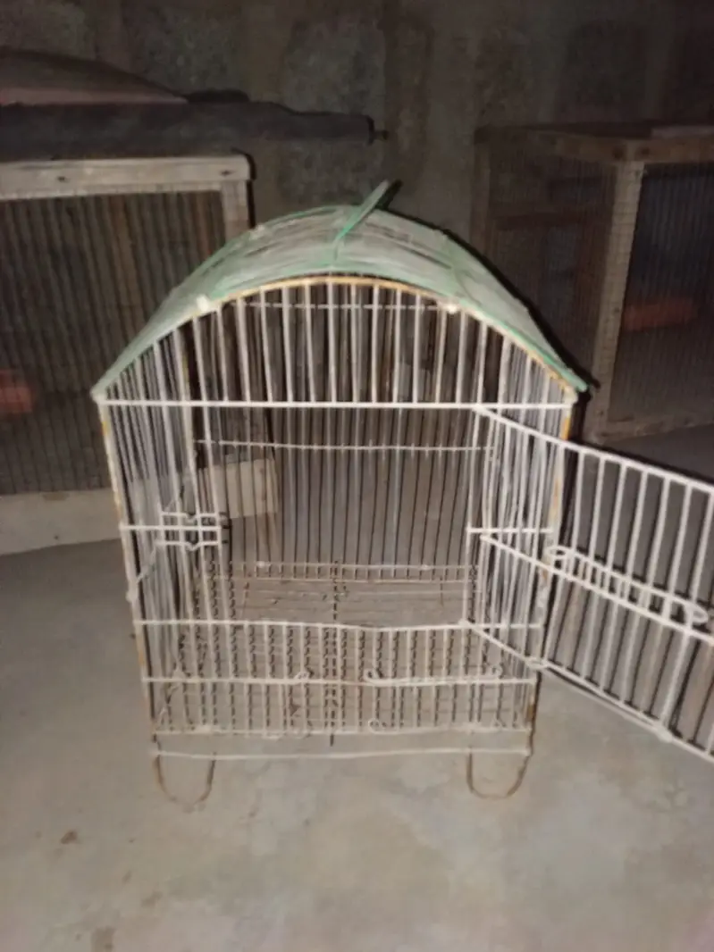 3 cages no demage just buy and clean & use — photo 7