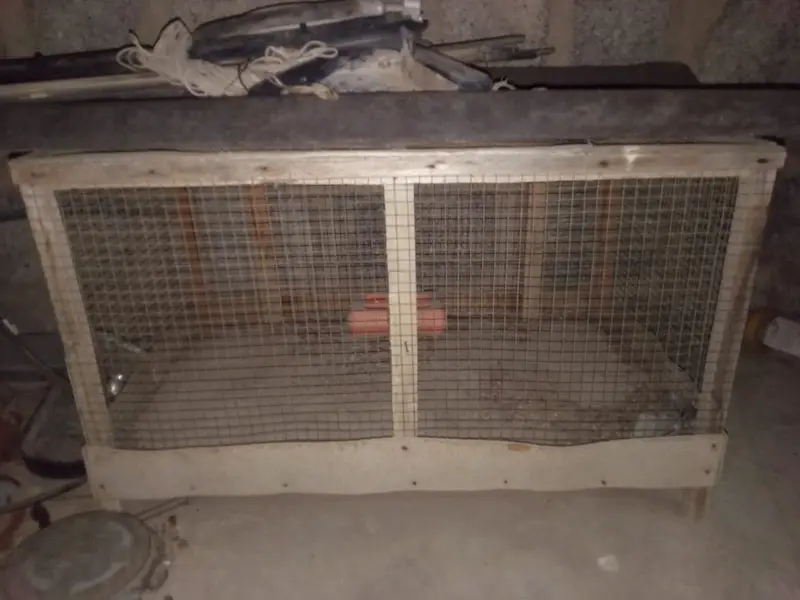 3 cages no demage just buy and clean & use — photo 8