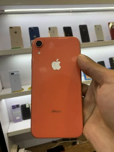iPhone XR [OFFER] 03275894788