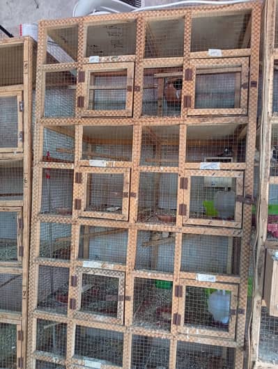 wooden cages