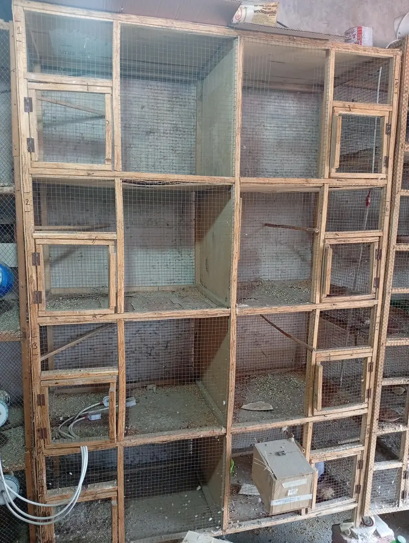 wooden cages — photo 3
