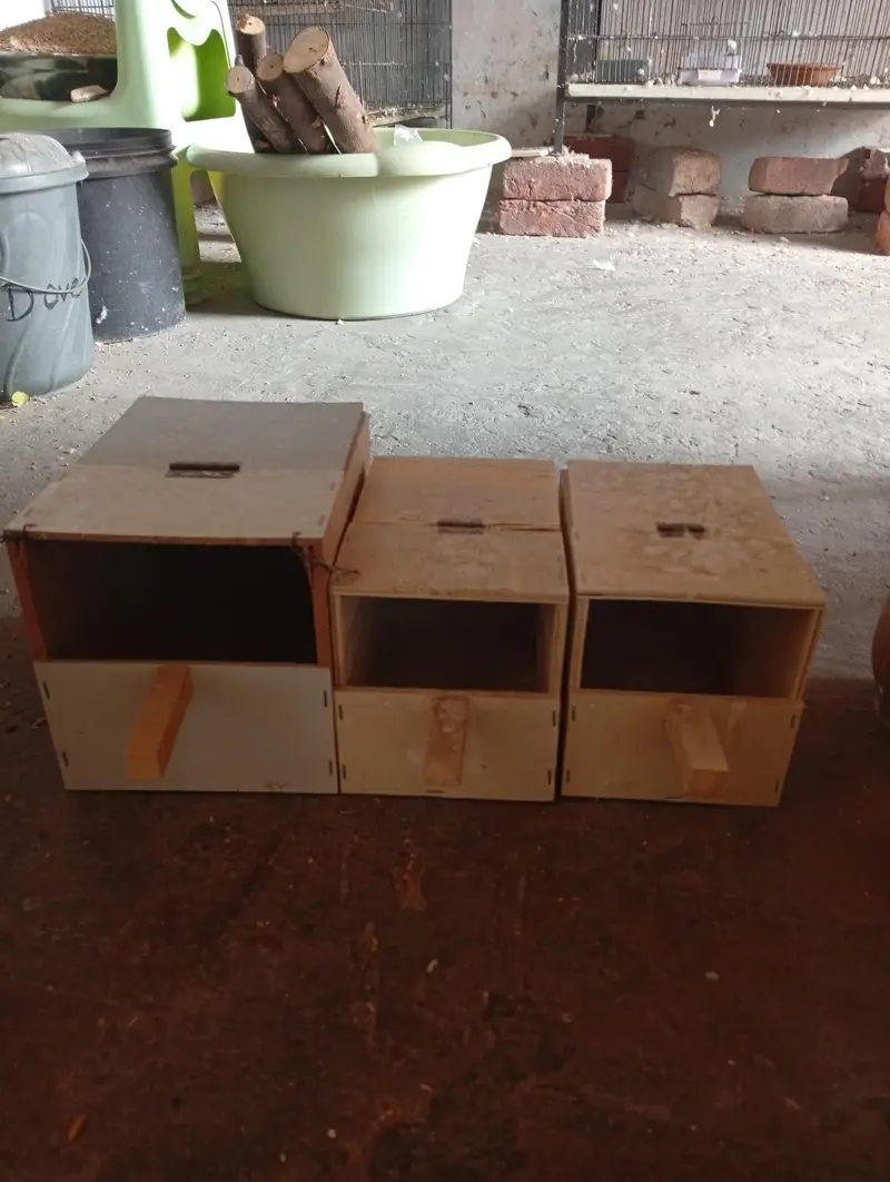 wooden cages — photo 4