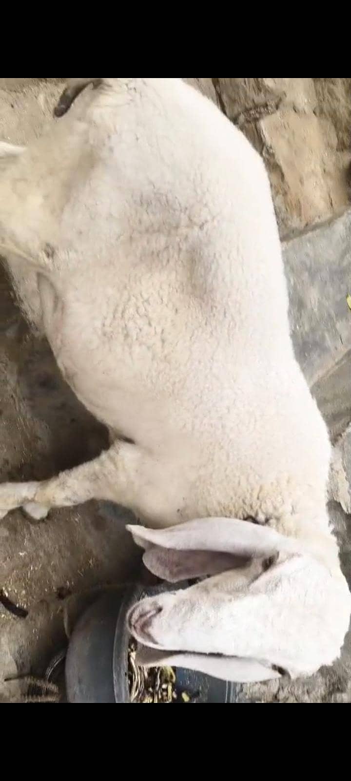 8 . . . . . . 0