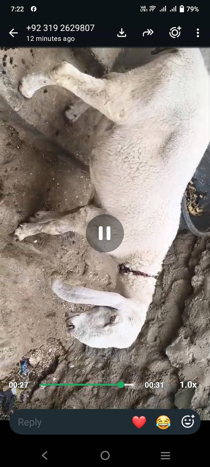8 . . . . . . 3