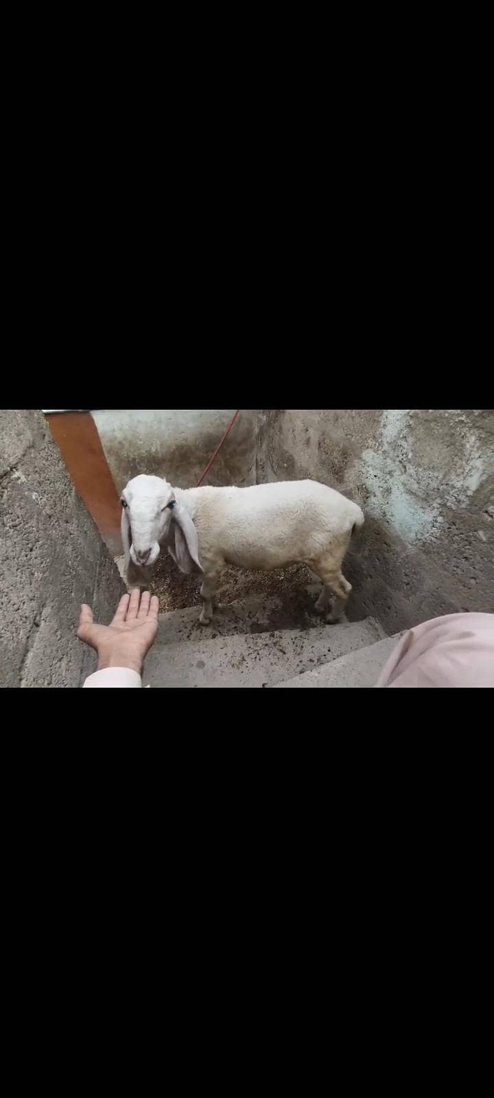 8 . . . . . . 6