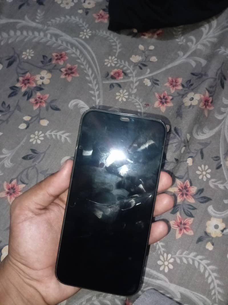 Apple iPhone 12 Pro Max 2