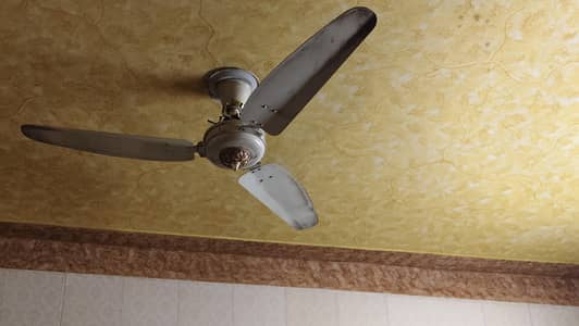 Ceiling Fans