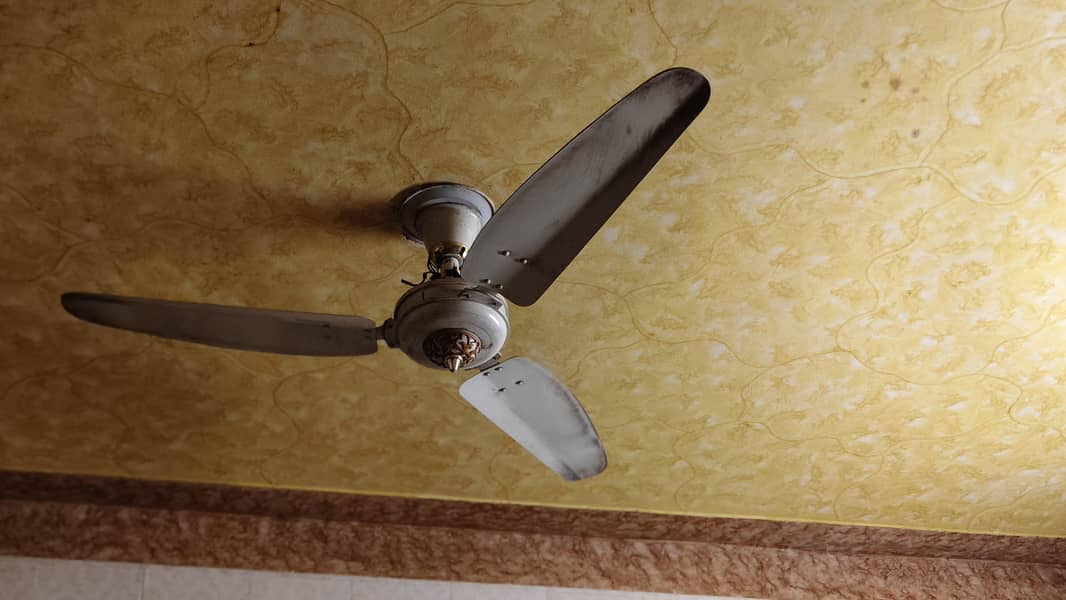Ceiling Fans 1
