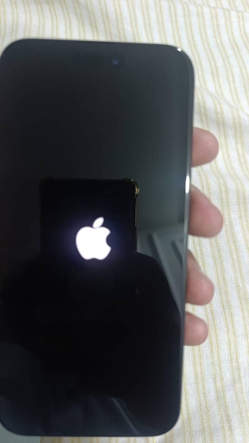 Apple iPhone 15 Pro Max 1