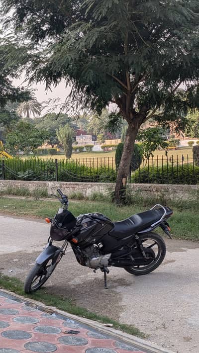 Yamaha ybr
