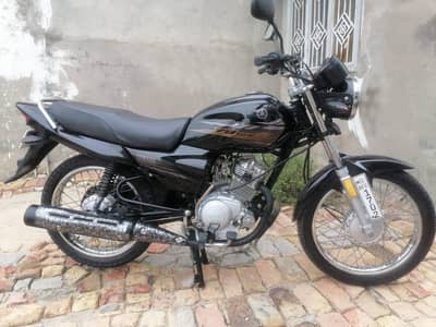only call 03125195286