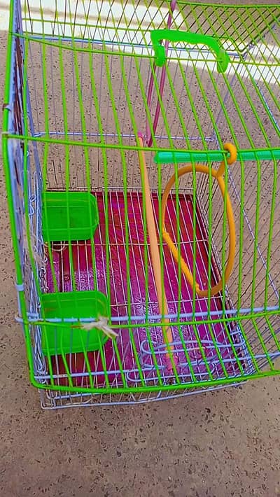 birds cage