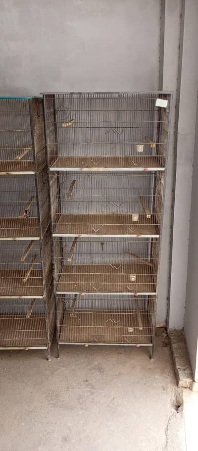 spot welding cage for birds