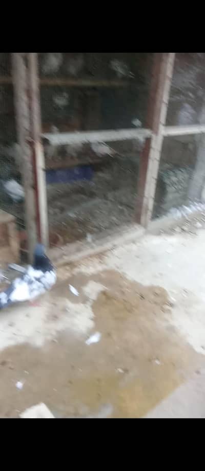 chapdar rampuri nr