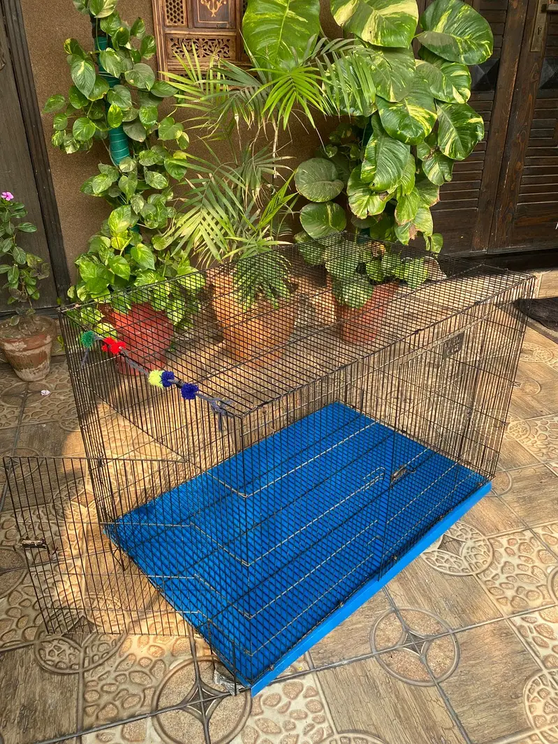 Two Door Pet Enclosure — photo 2