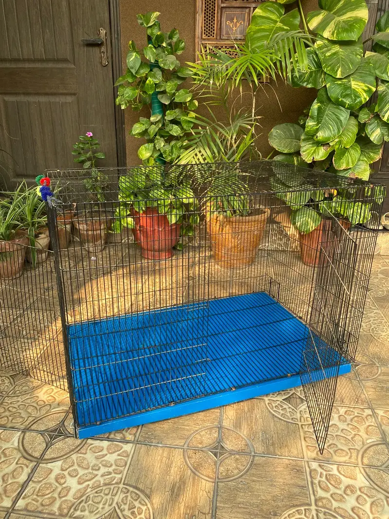 Two Door Pet Enclosure — photo 3