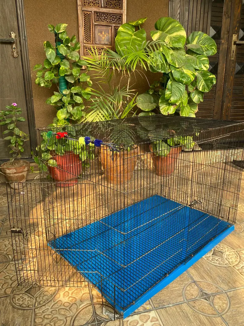 Two Door Pet Enclosure — photo 4