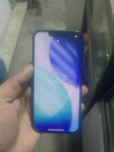 Apple iPhone 13