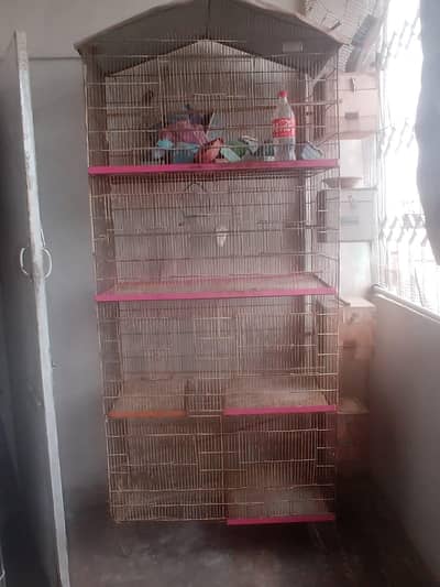cage's For Bird's
