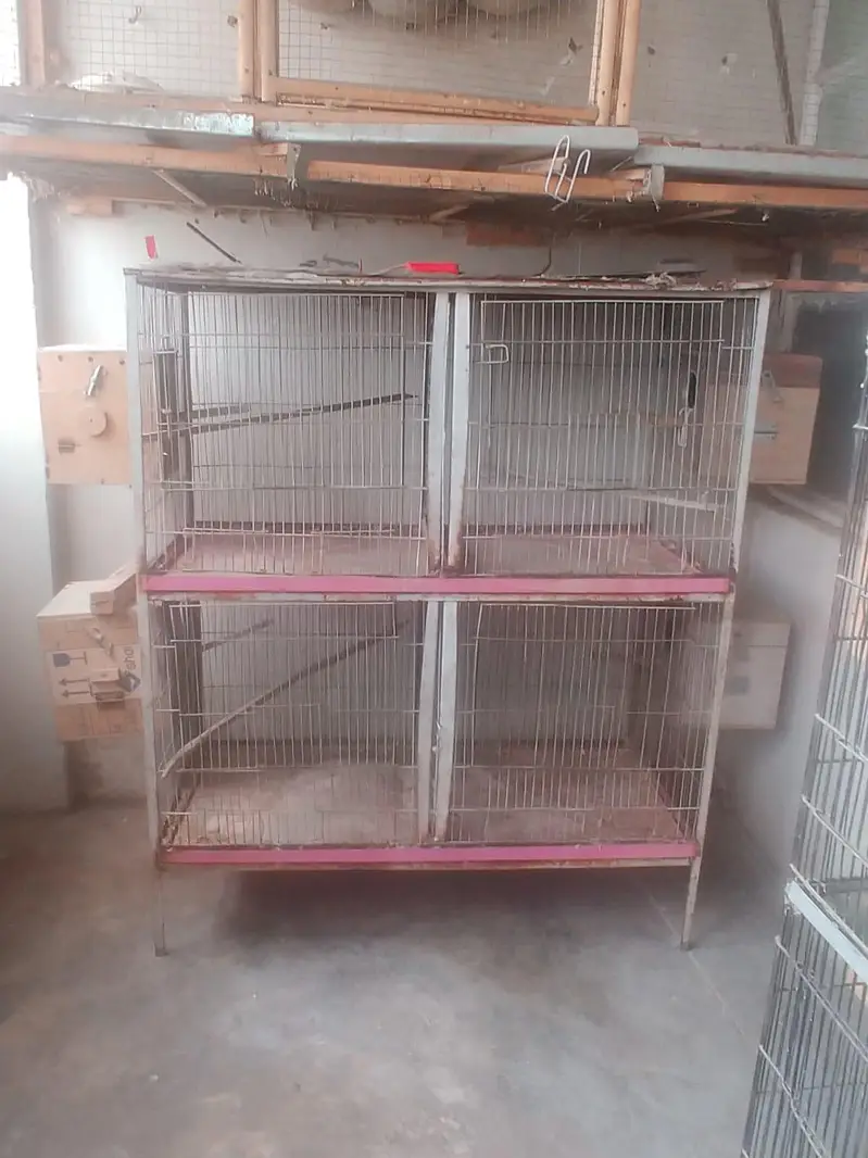 cage's For Bird's — photo 2