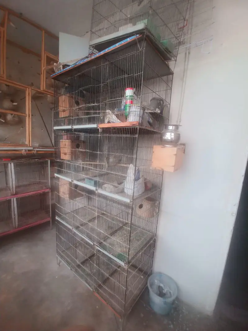 cage's For Bird's — photo 3