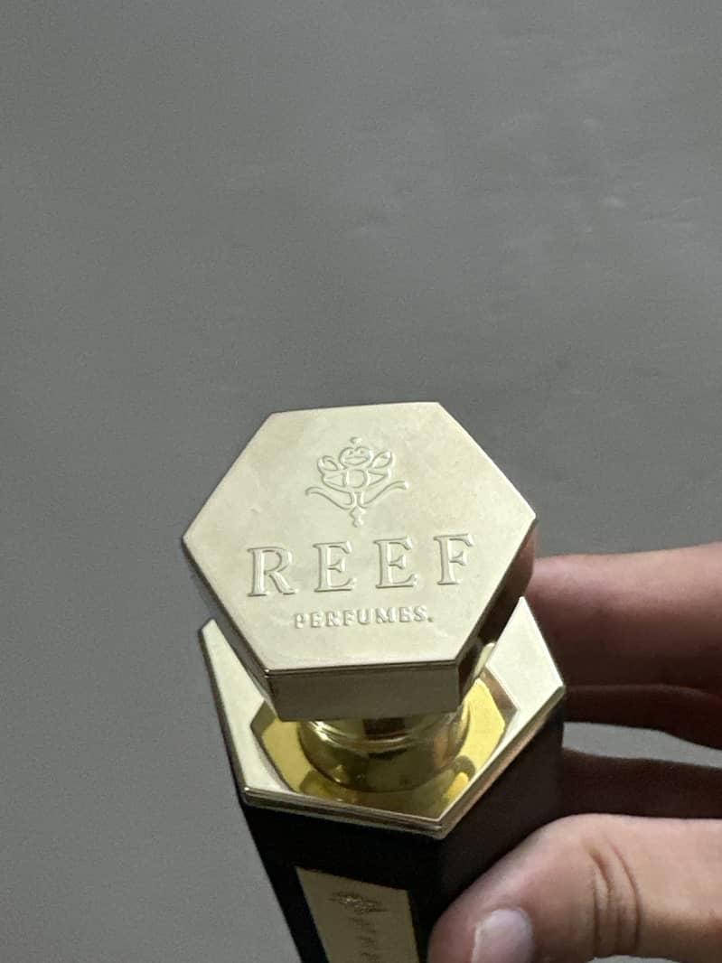 Reef 33 1