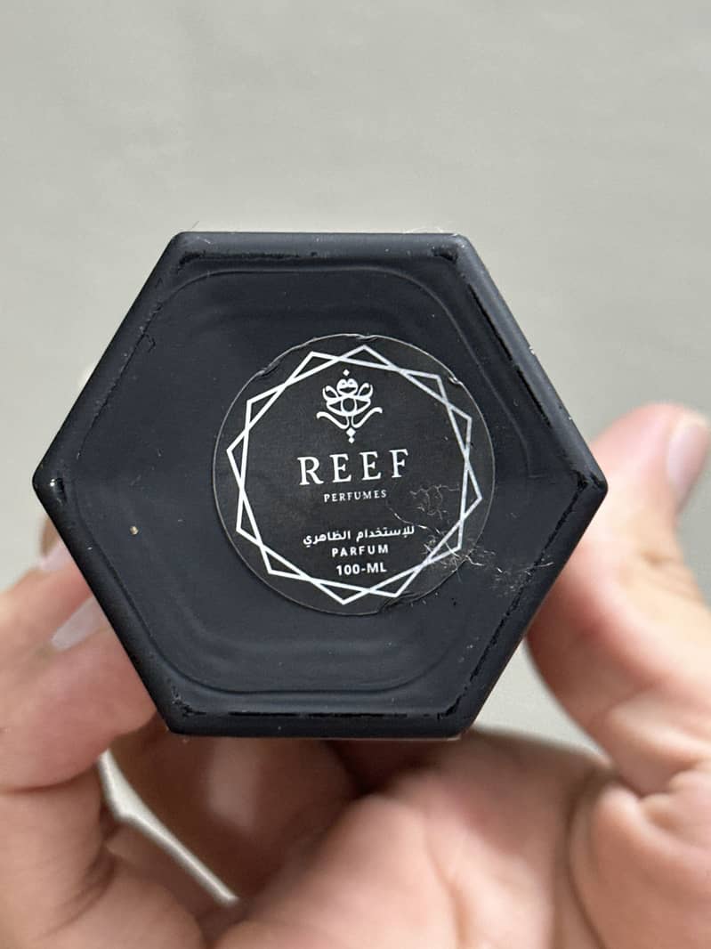 Reef 33 2