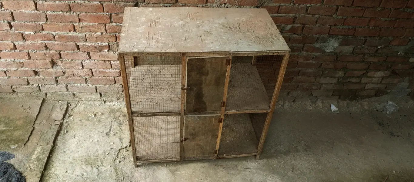 Wooden Cage Pinjra — photo 3