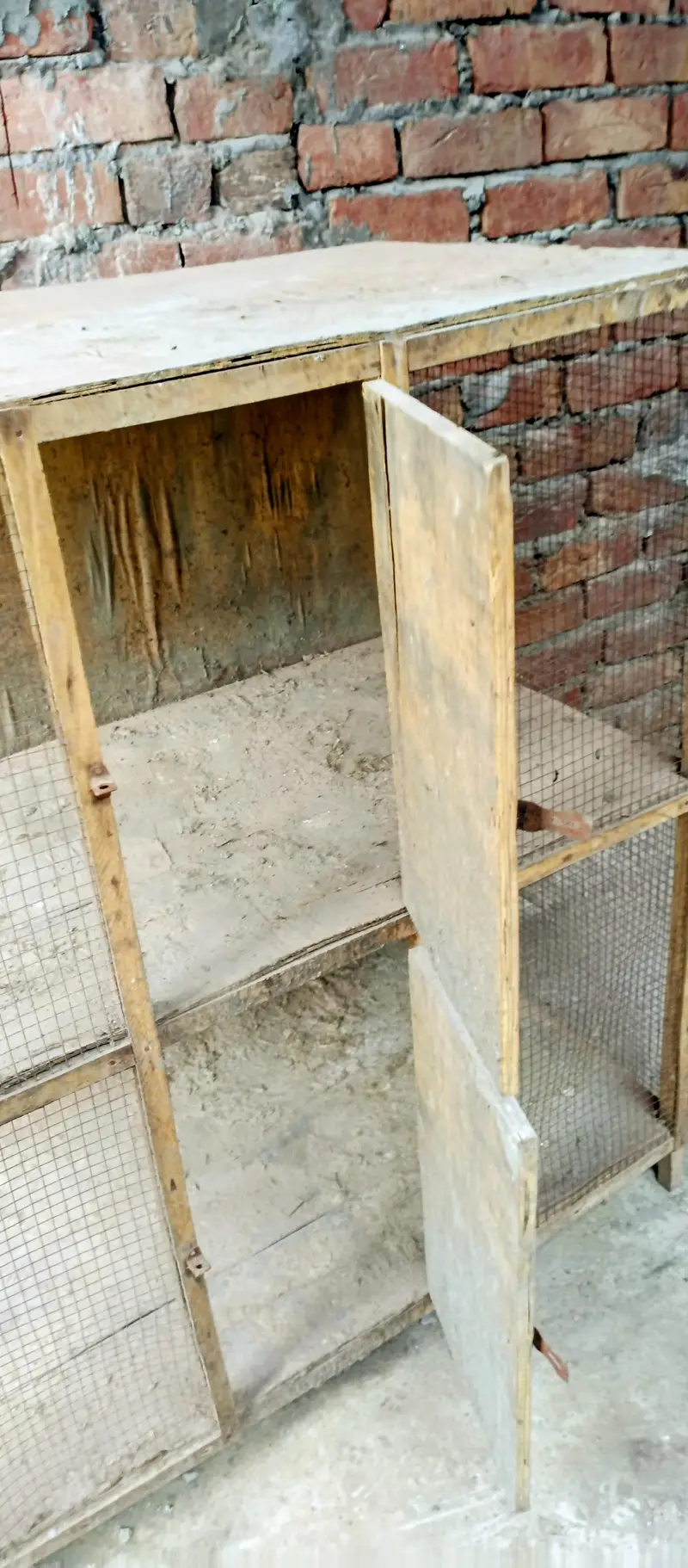 Wooden Cage Pinjra — photo 4