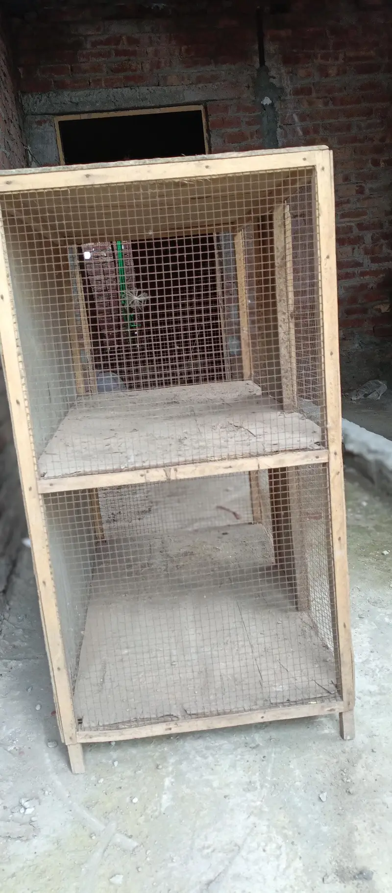 Wooden Cage Pinjra — photo 7