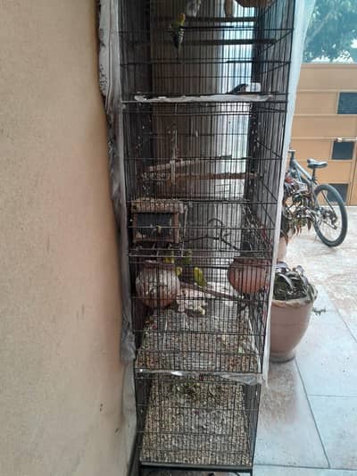 parrot cage