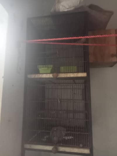 Perat Cages Urgent Sale