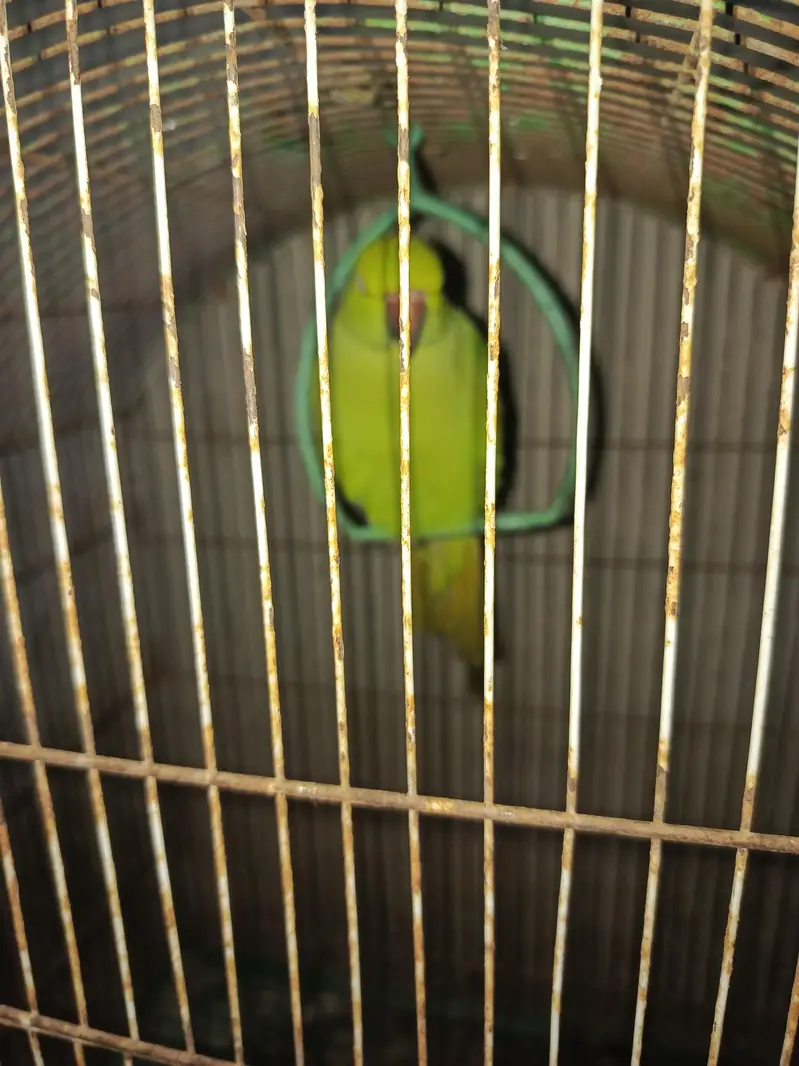 berst — photo 2
