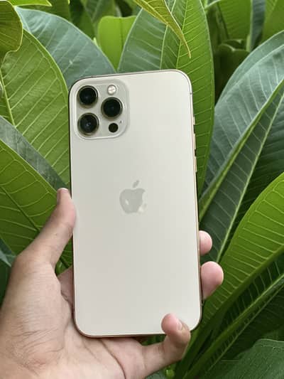 Apple iPhone 12 Pro Max